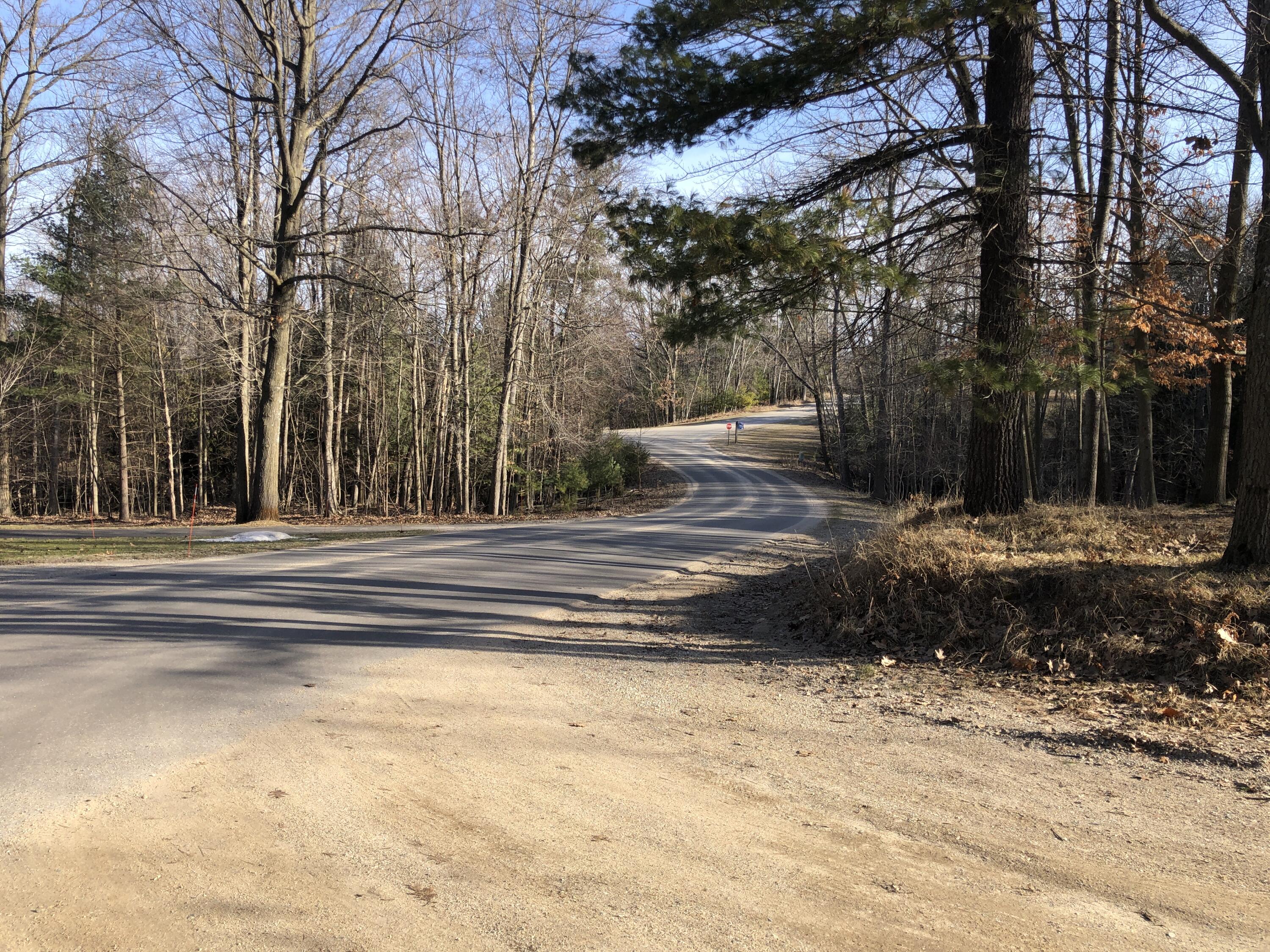 6833 Beechnut Ridge, Unit 252 Canadian Lakes, MI 49346 - Photo 14 of 18 14 Road View