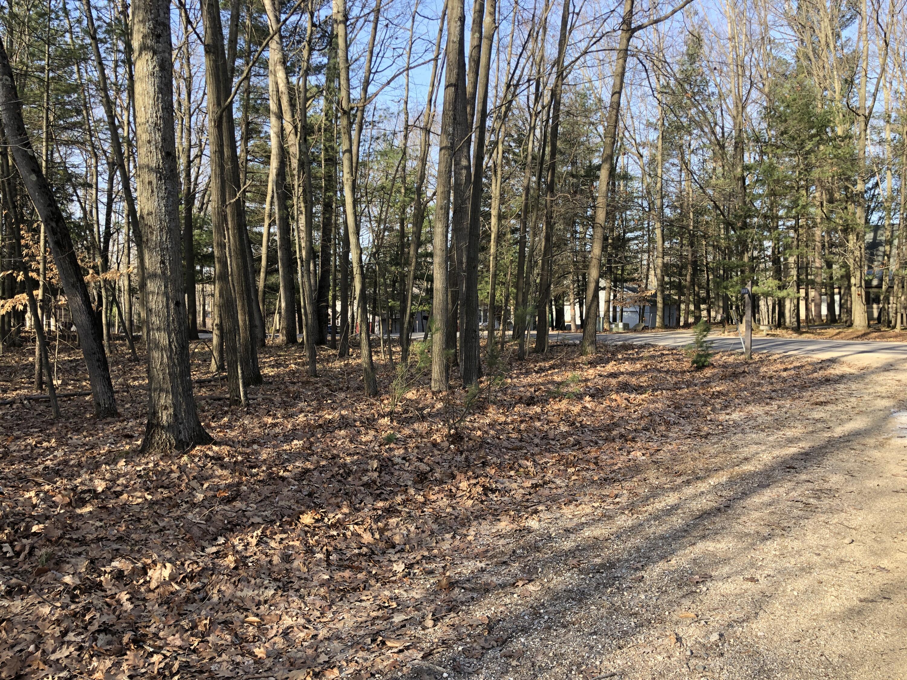 6833 Beechnut Ridge, Unit 252 Canadian Lakes, MI 49346 - Photo 15 of 18 15 Lot View