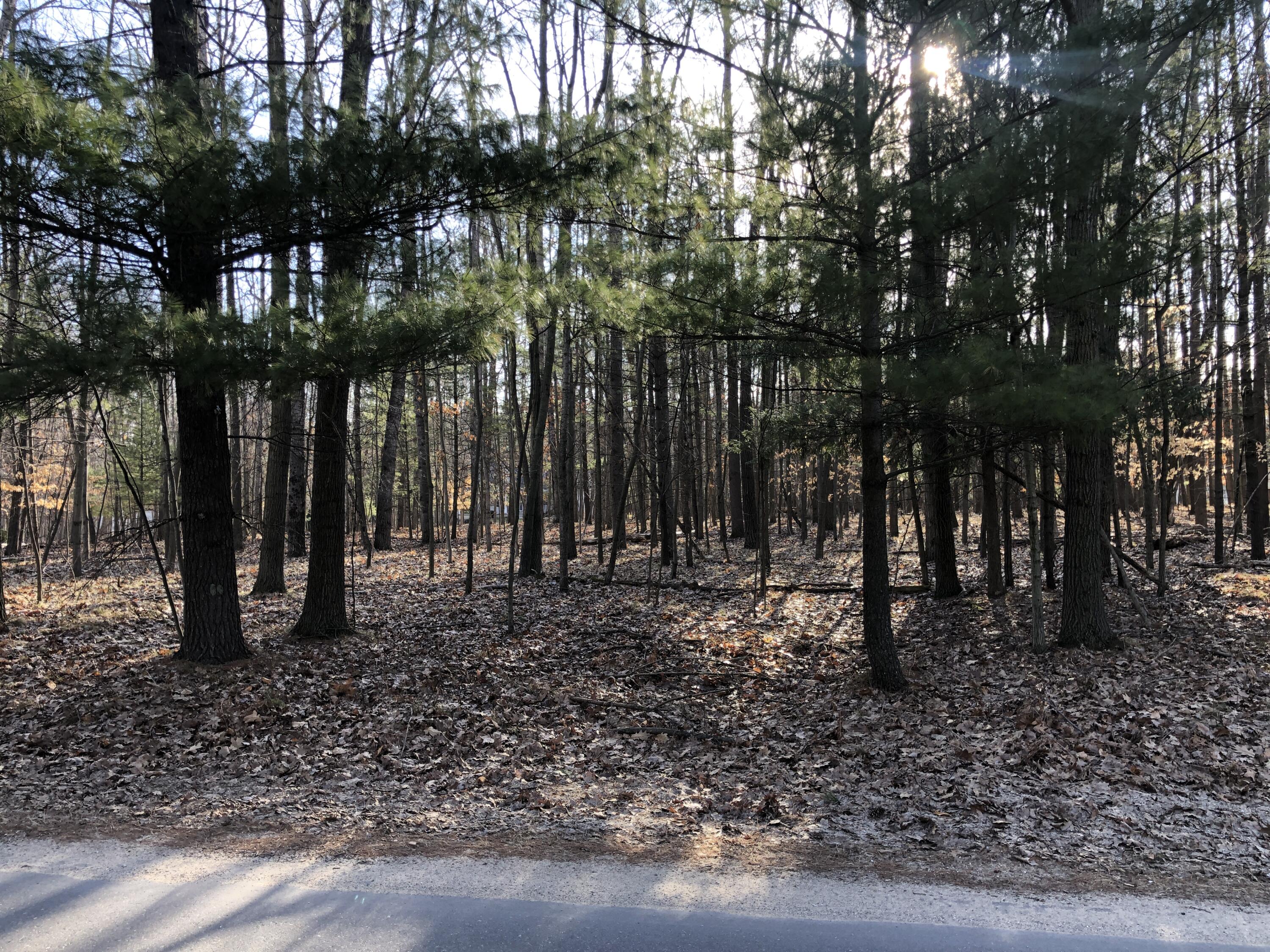 6833 Beechnut Ridge, Unit 252 Canadian Lakes, MI 49346 - Photo 17 of 18 17 Lot View