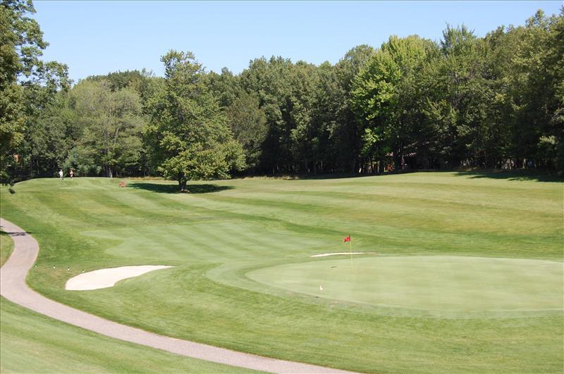 6833 Beechnut Ridge, Unit 252 Canadian Lakes, MI 49346 - Photo 3 of 18 3 Golf Course