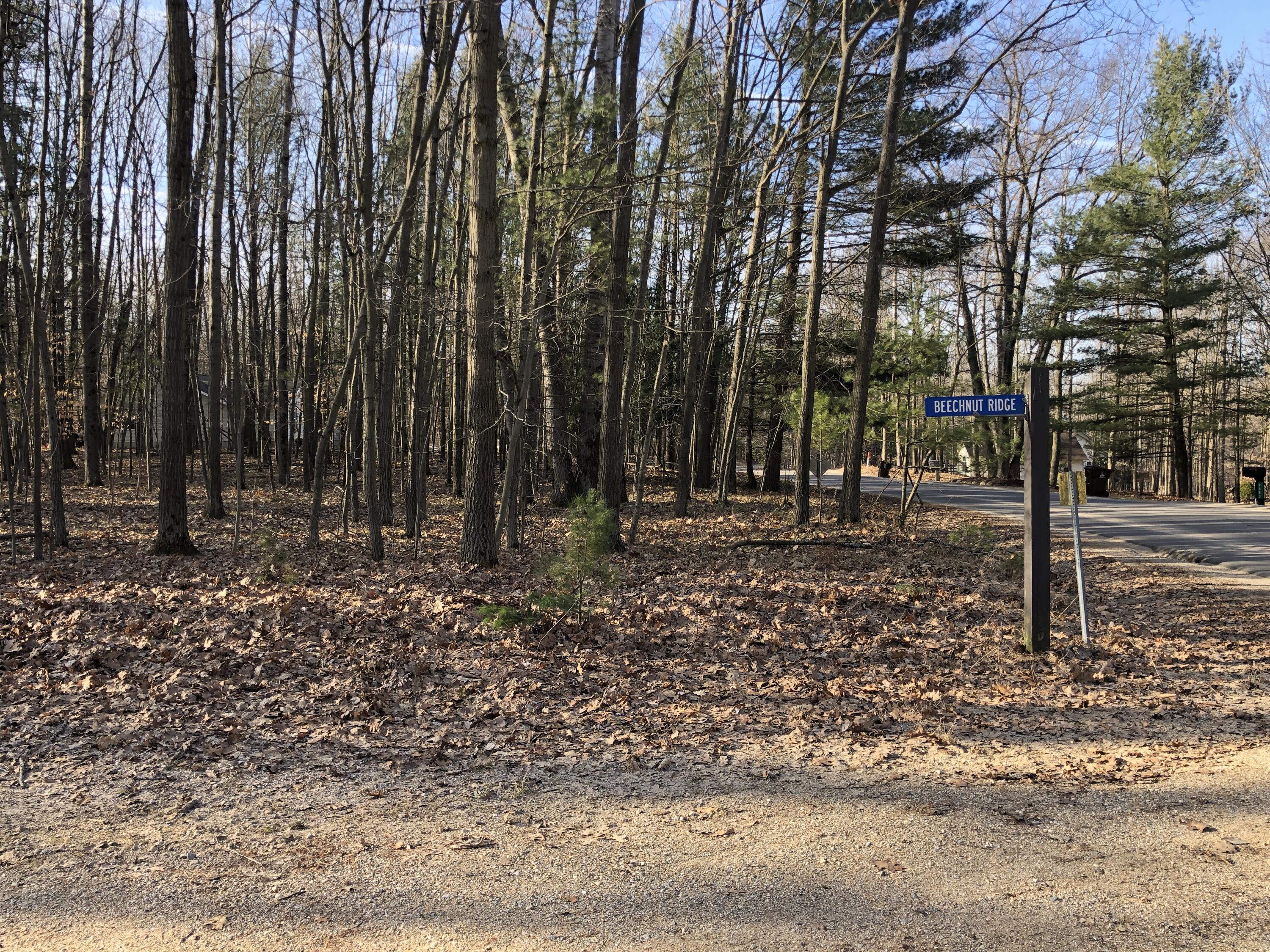 6833 Beechnut Ridge, Unit 252 Canadian Lakes, MI 49346 - Photo 4 of 18 4 Lot View
