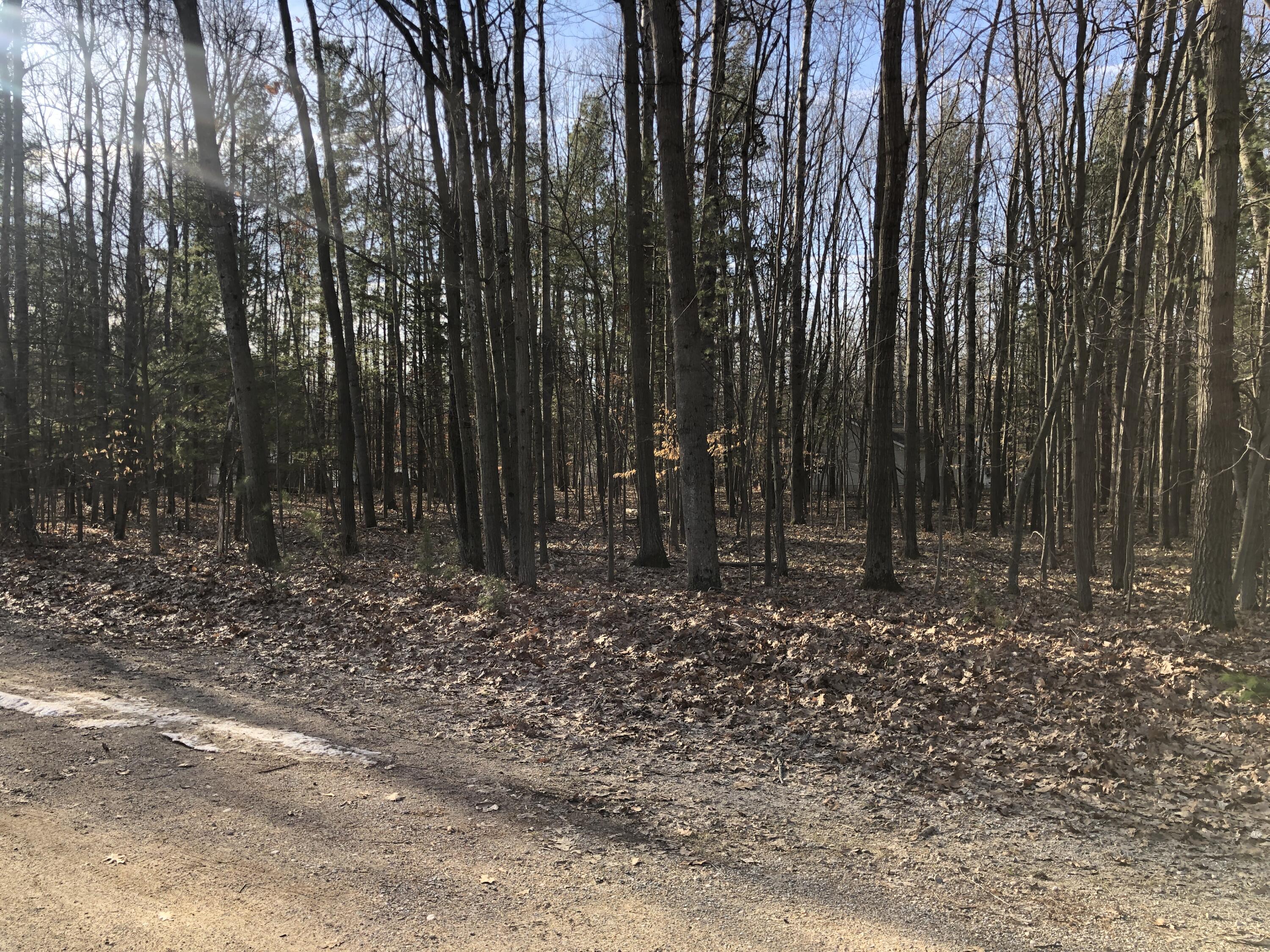 6833 Beechnut Ridge, Unit 252 Canadian Lakes, MI 49346 - Photo 5 of 18 5 Lot View
