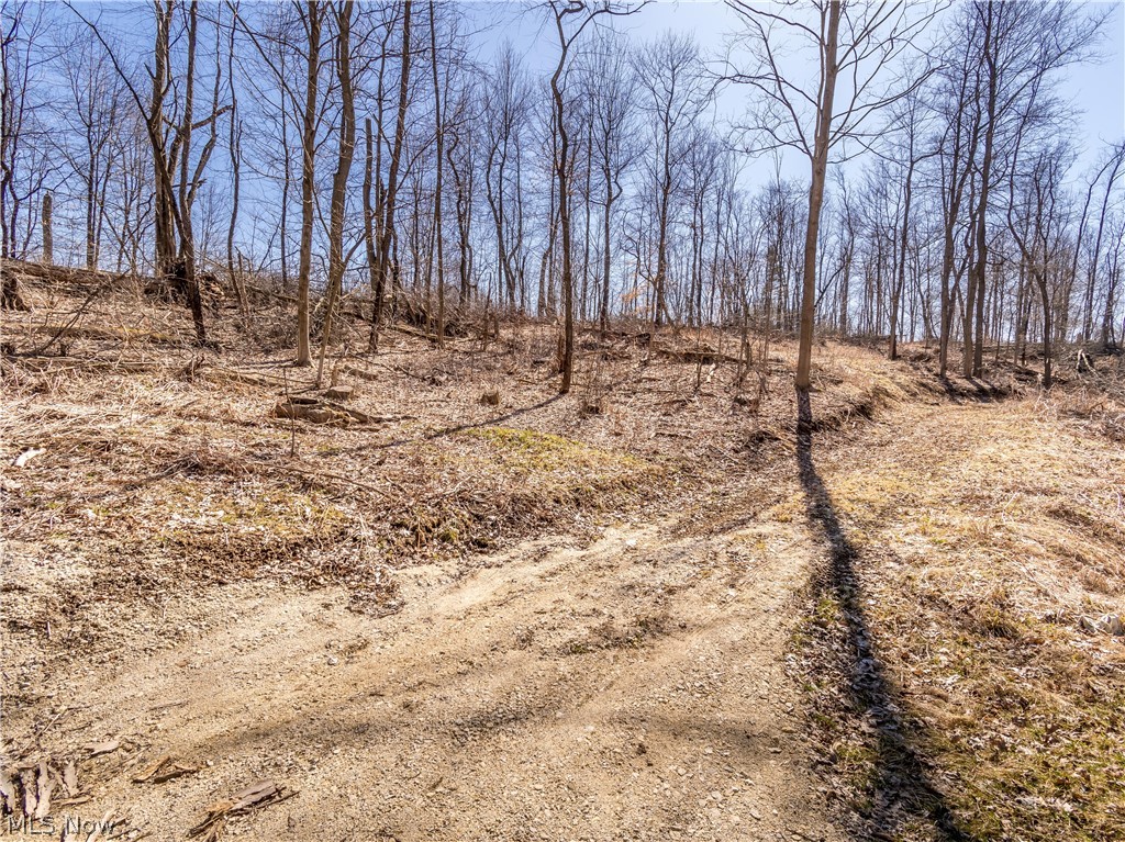 Seville Road Rittman, OH 44270 - Photo 16 of 28 Gallery Image 16