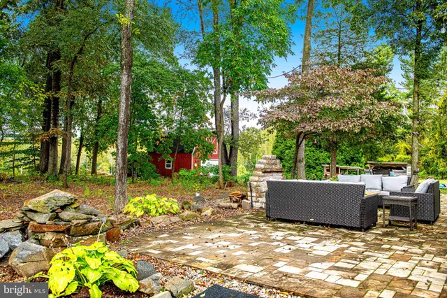 a view of a park with large trees