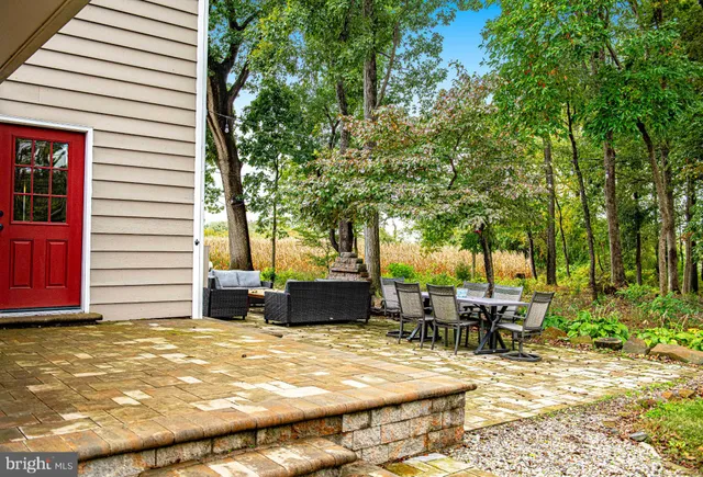 a view of a garden with tree
