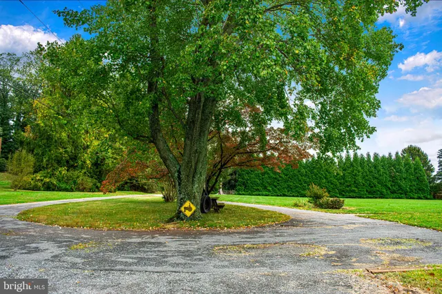 a view of a big house with a big yard and potted plants and large trees