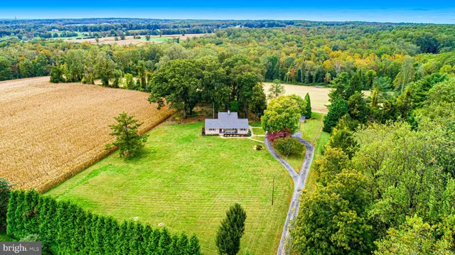 a view of a park with large trees