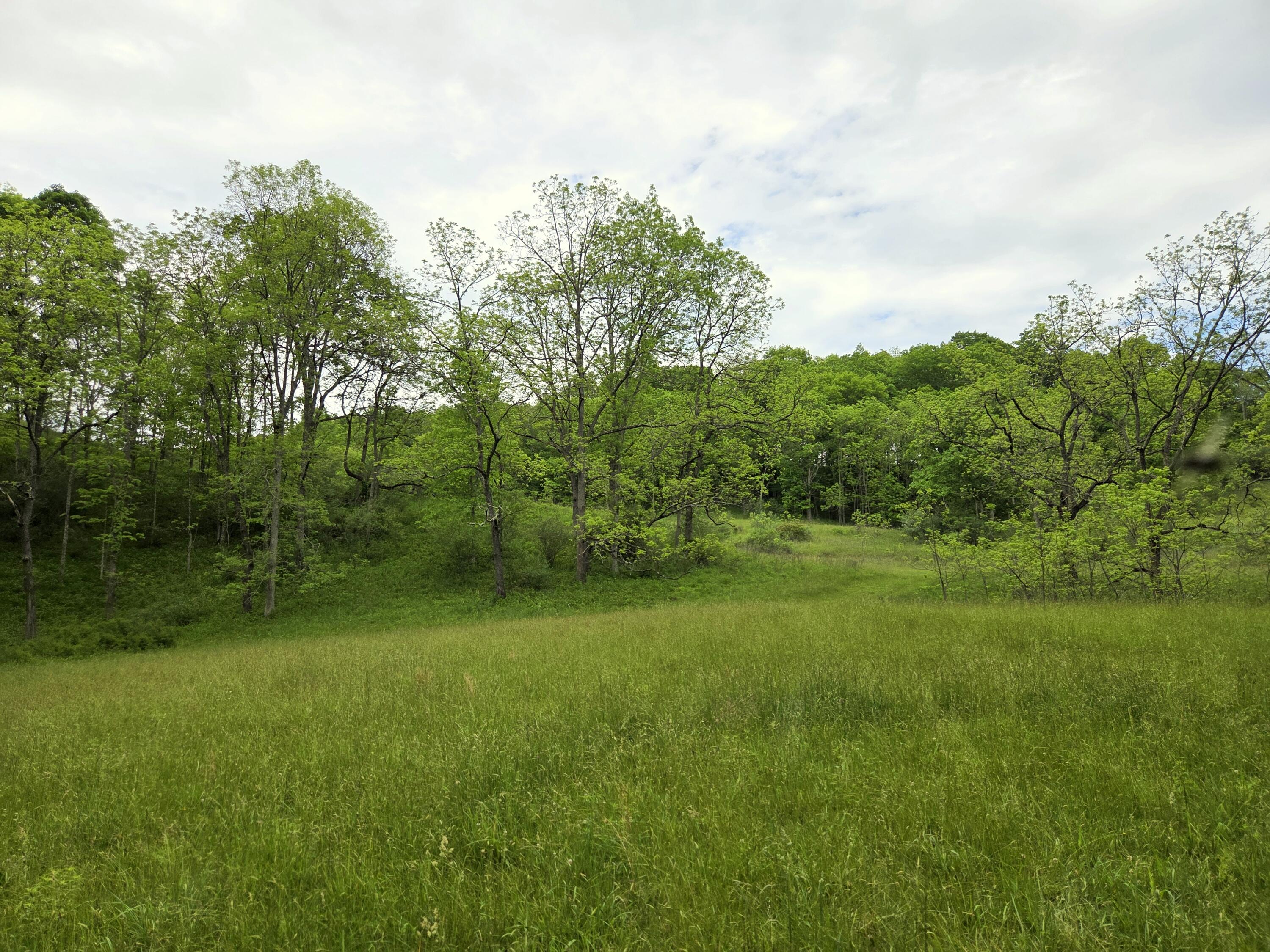 4135 Williamsburg Road Renick, WV 24966 - Photo 50 of 58 Gallery Image 50