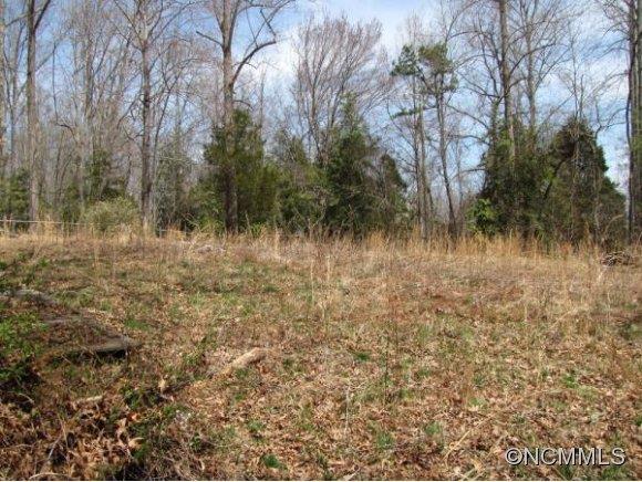 49 Bob Barnwell Road, Unit C Fletcher, NC 28732 - Photo 8 of 17 Gallery Image 8