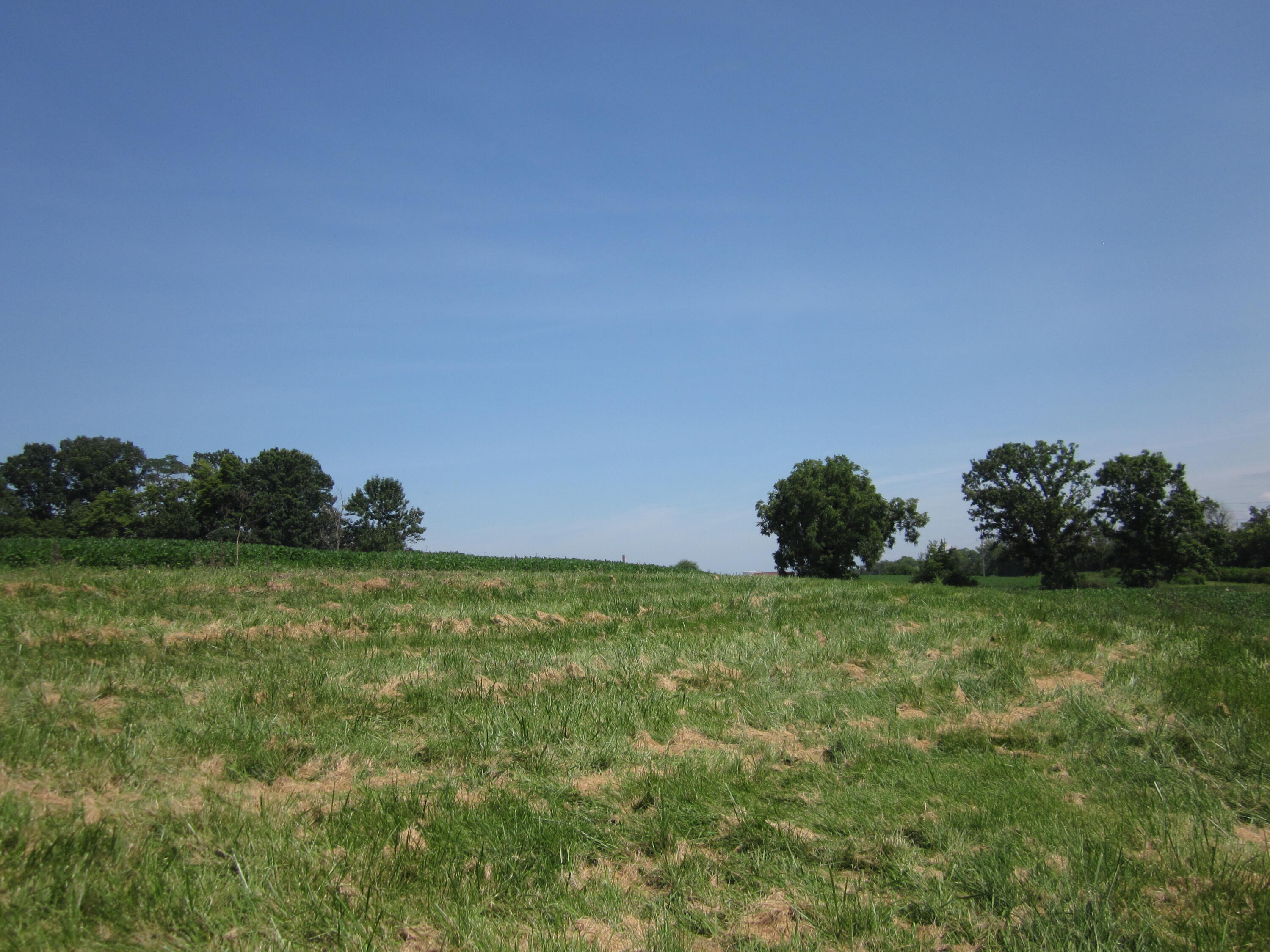 3115 Houston Antioch Road Lexington, KY 40516 - Photo 45 of 62 IMG_7825