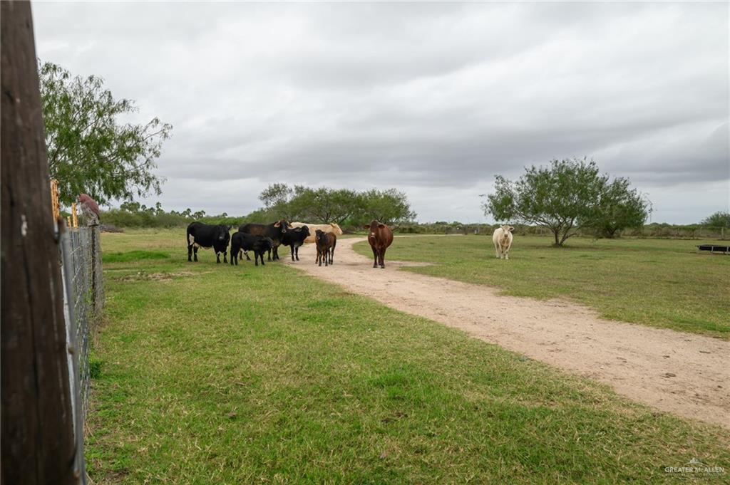 30478 Guajardo Road Rio Hondo, TX 78583 - Photo 4 of 26 a view of outdoor space with green field and trees