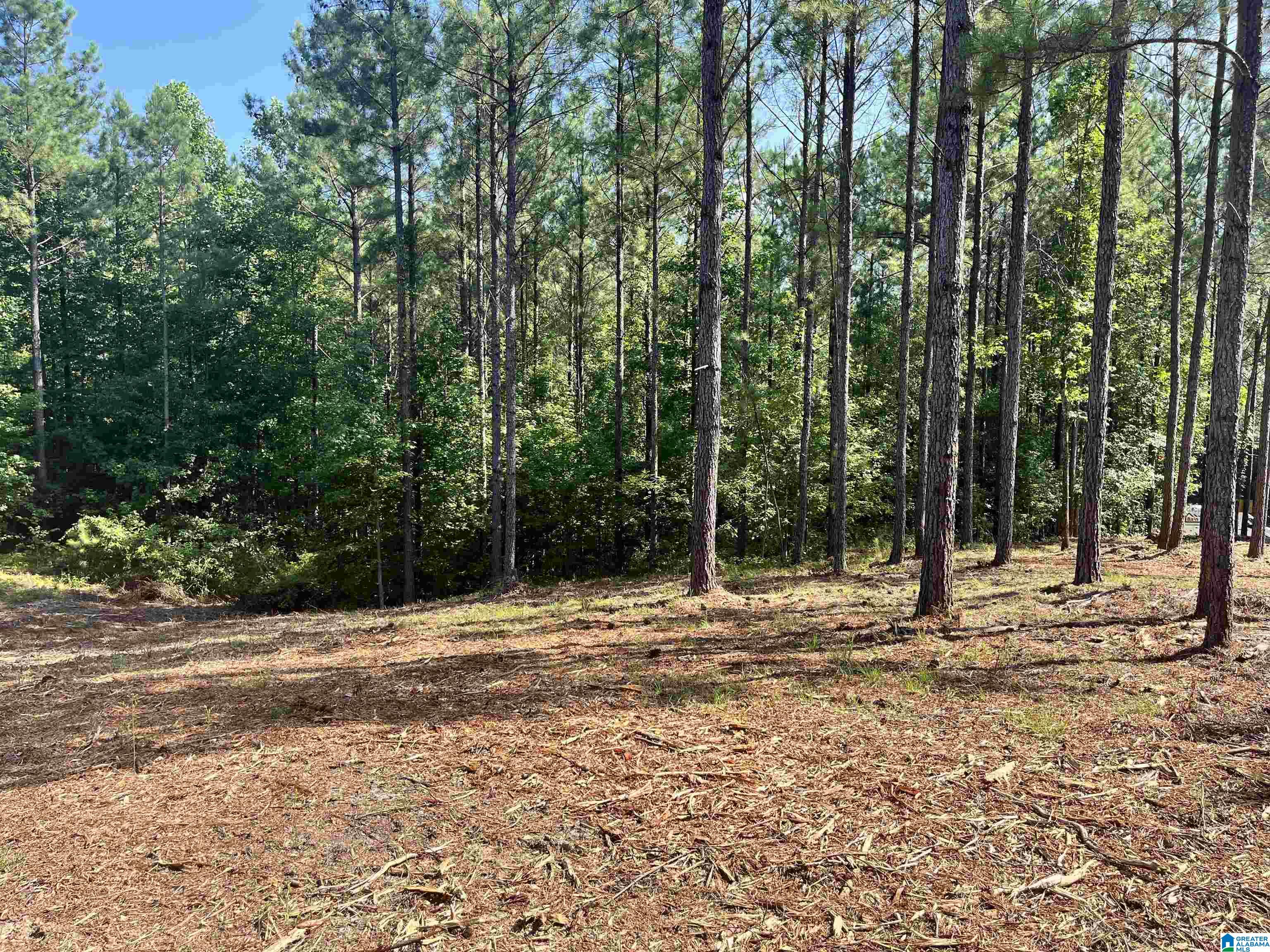 780 Sweet Apple Road, Unit TRACT 4 Pell City, AL 35128 - Photo 3 of 8