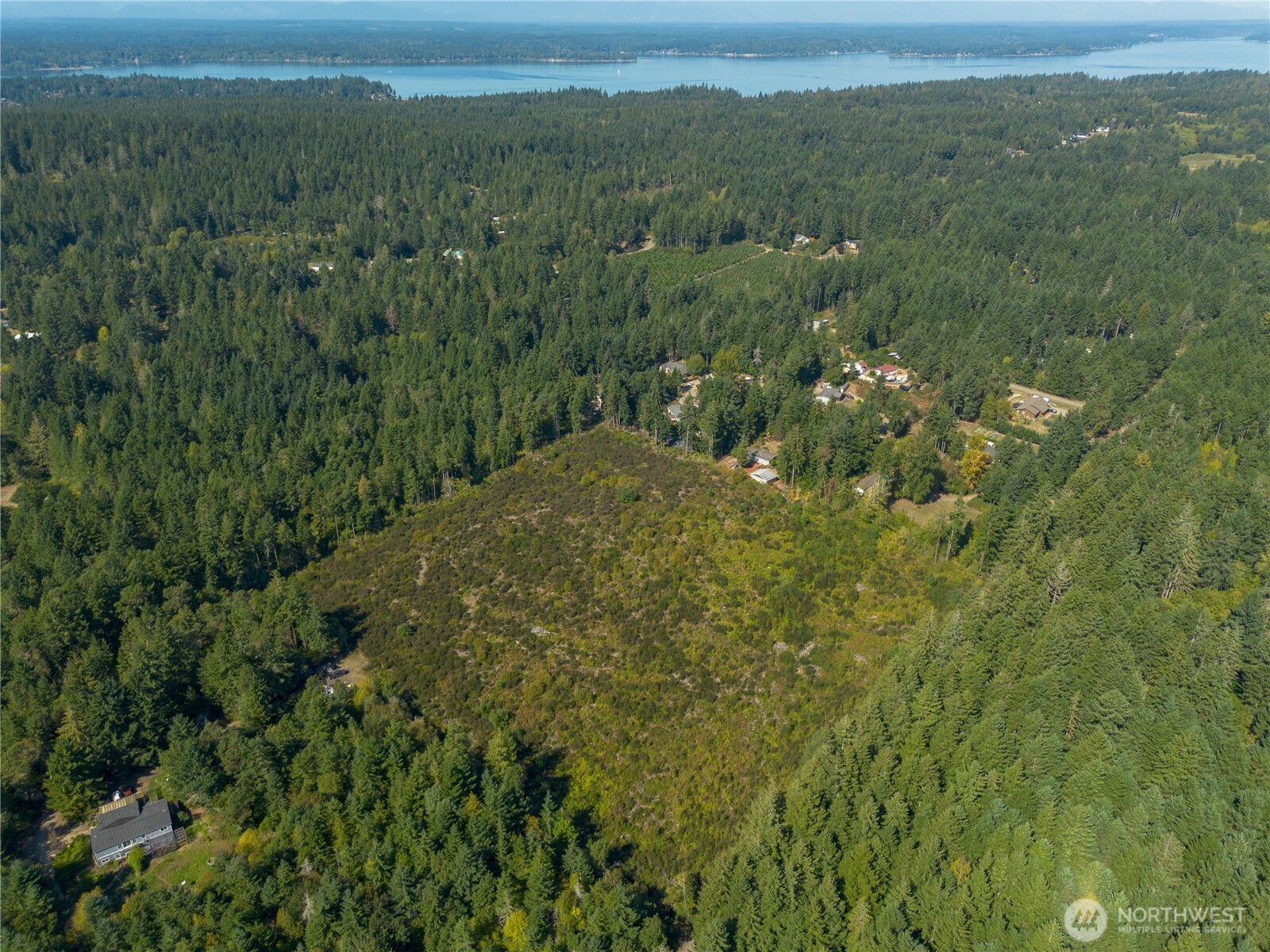 414 Webb Road Southwest Lakebay, WA 98349 - Photo 1 of 17 a view of a green field with lots of bushes