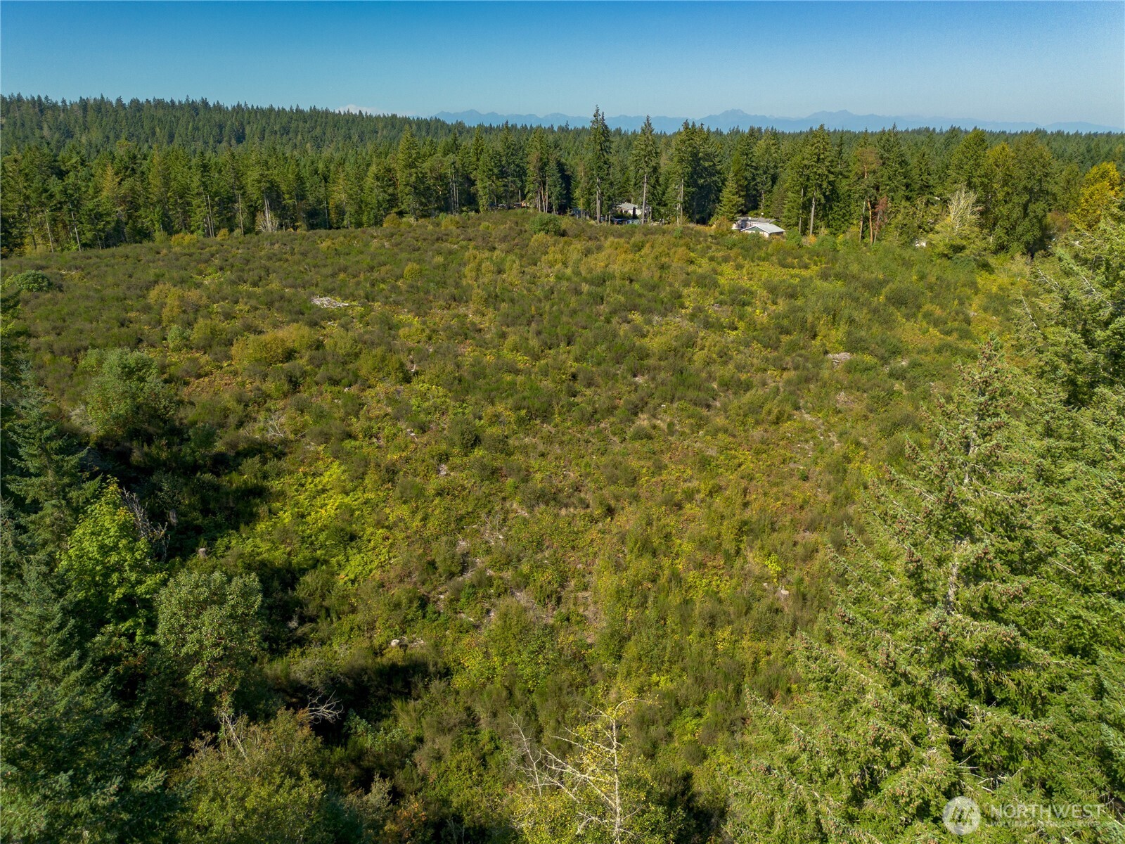 414 Webb Road Southwest Lakebay, WA 98349 - Photo 11 of 17 a view of a yard