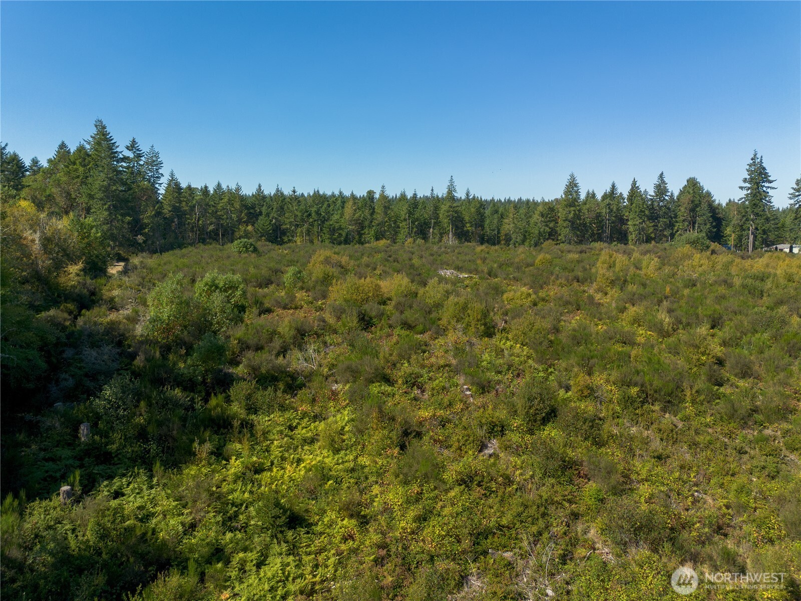 414 Webb Road Southwest Lakebay, WA 98349 - Photo 12 of 17 a view of a lush green forest with a houses