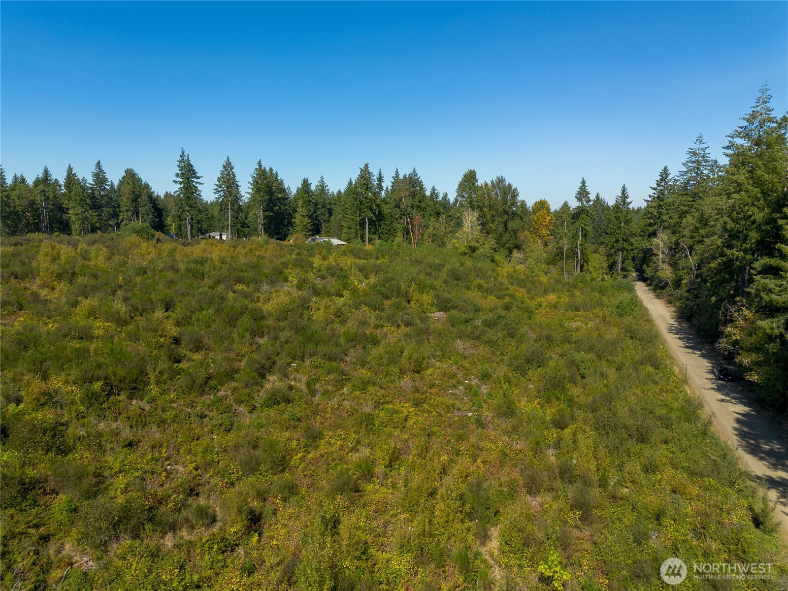 414 Webb Road Southwest Lakebay, WA 98349 - Photo 13 of 17 a view of a green field