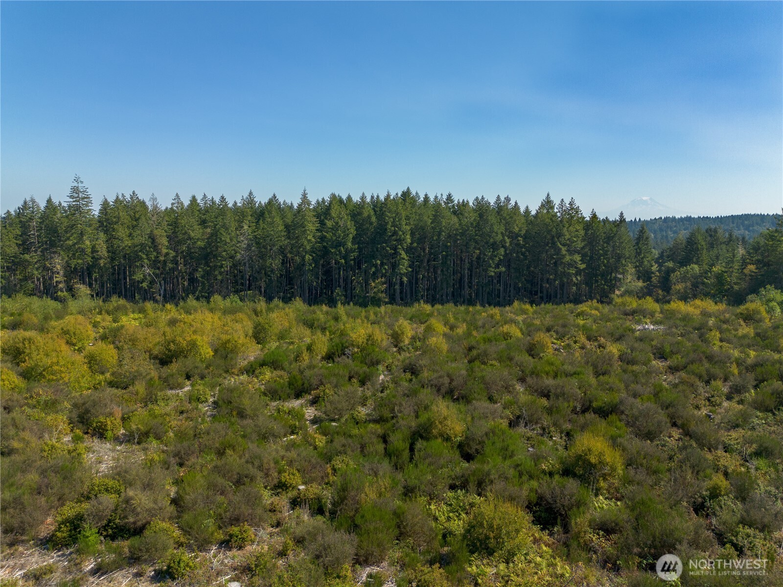 414 Webb Road Southwest Lakebay, WA 98349 - Photo 14 of 17 a view of a field with trees in the background