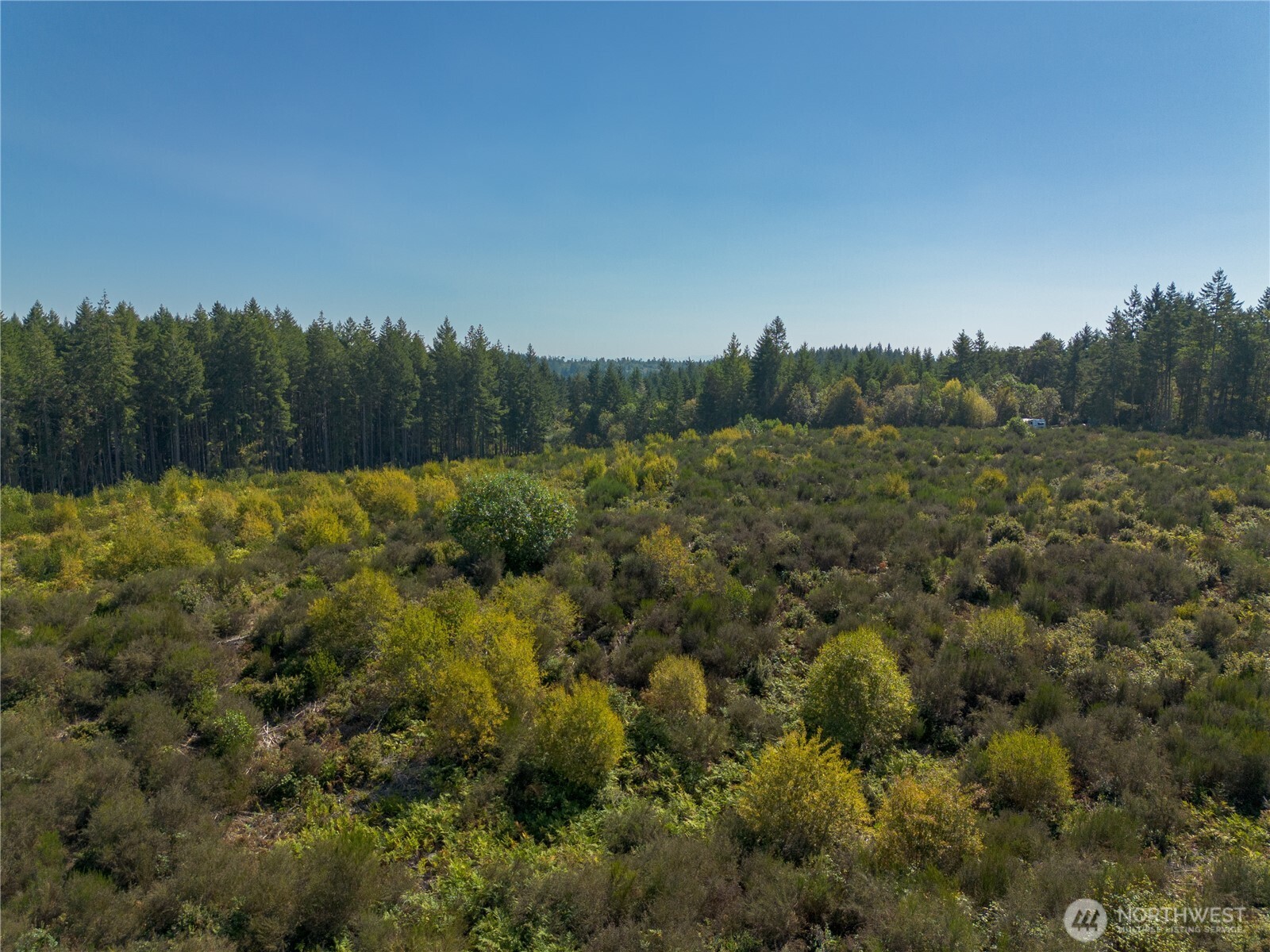414 Webb Road Southwest Lakebay, WA 98349 - Photo 15 of 17 a view of a forest with a forest