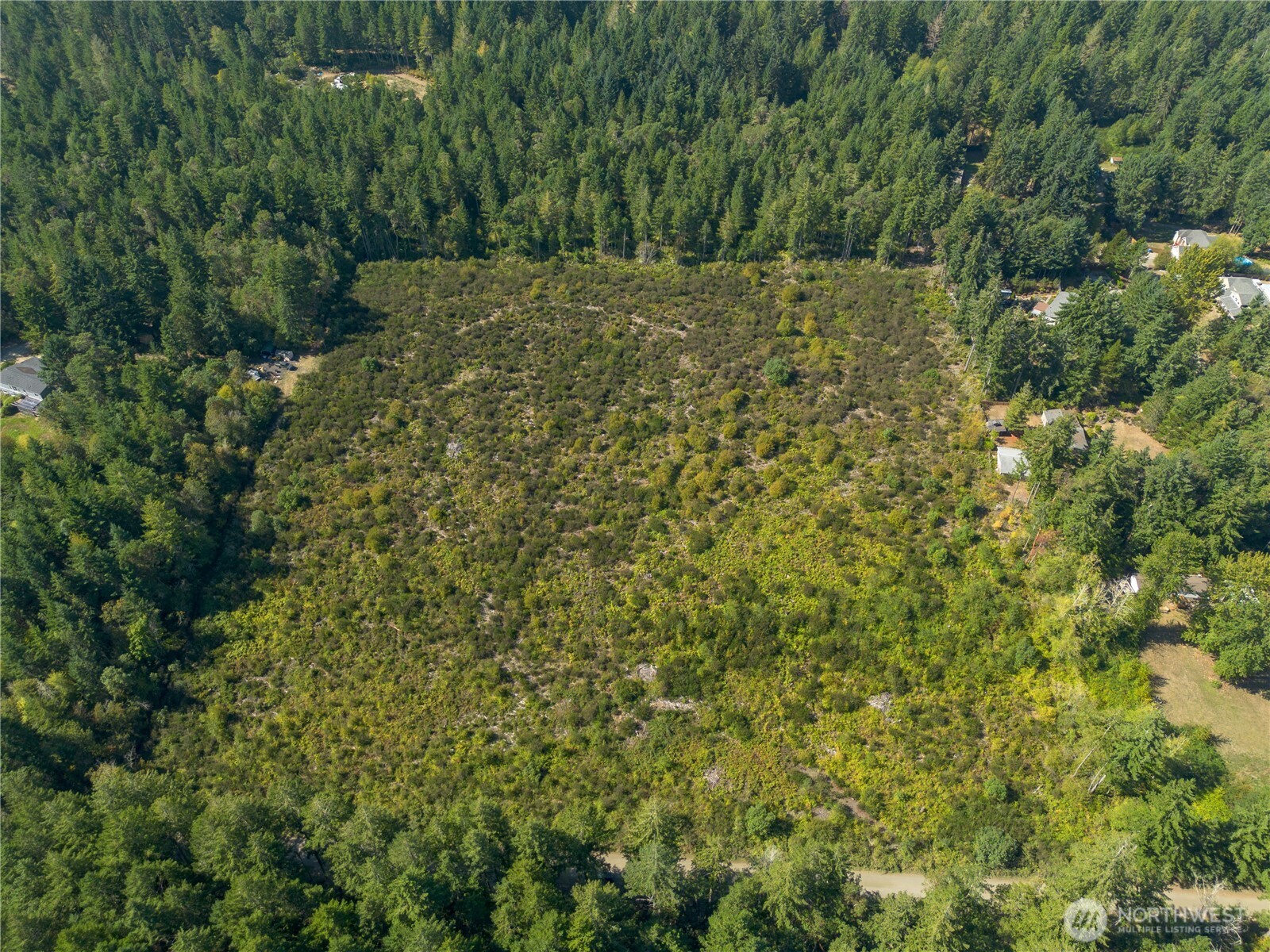 414 Webb Road Southwest Lakebay, WA 98349 - Photo 3 of 17 a view of outdoor space and trees