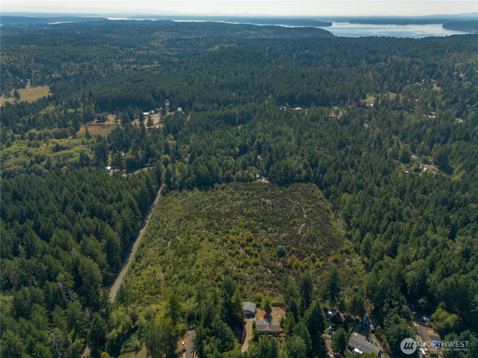 414 Webb Road Southwest Lakebay, WA 98349 - Photo 5 of 17 a view of a forest with a houses