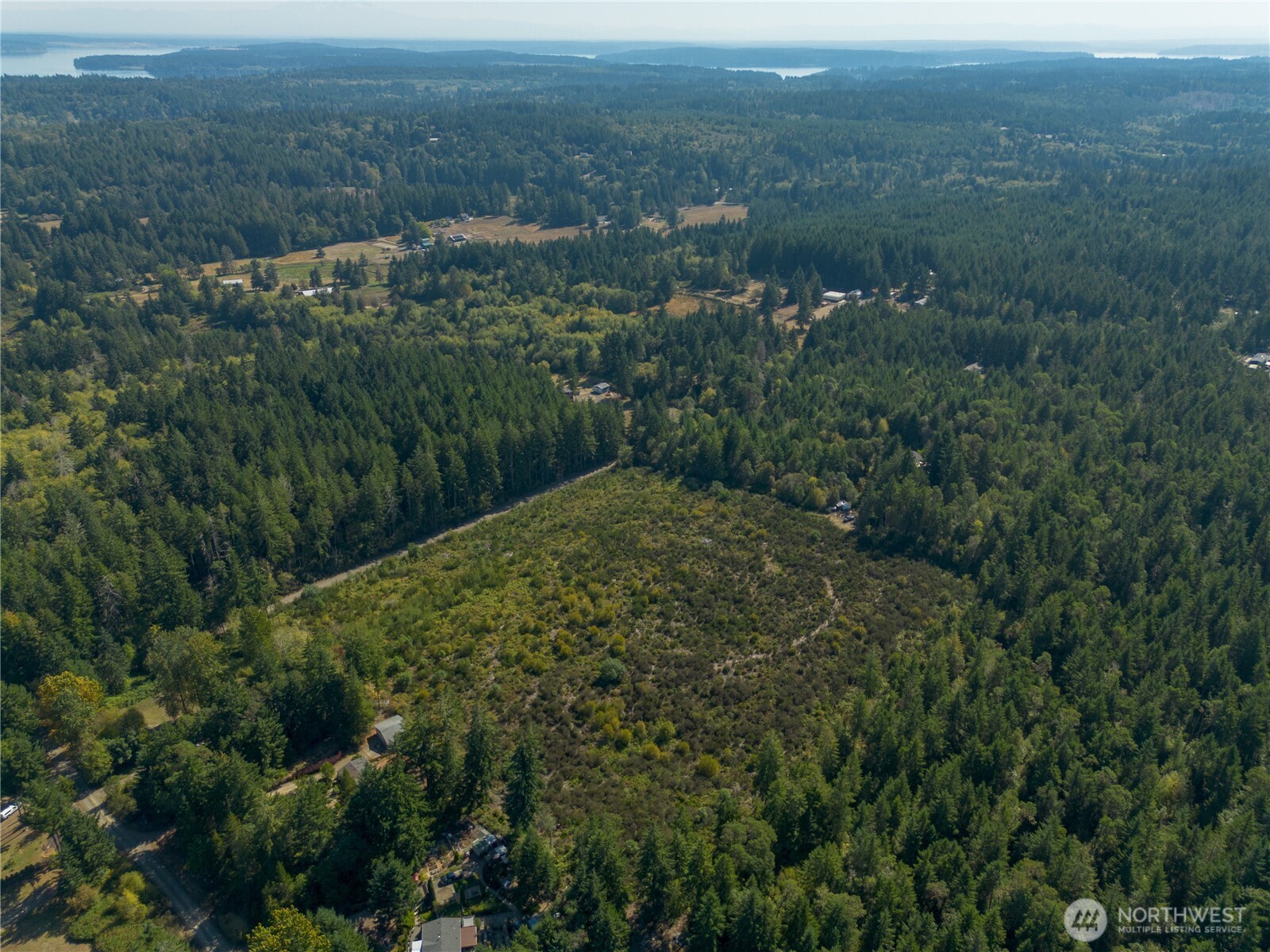 414 Webb Road Southwest Lakebay, WA 98349 - Photo 6 of 17 an aerial view of forest
