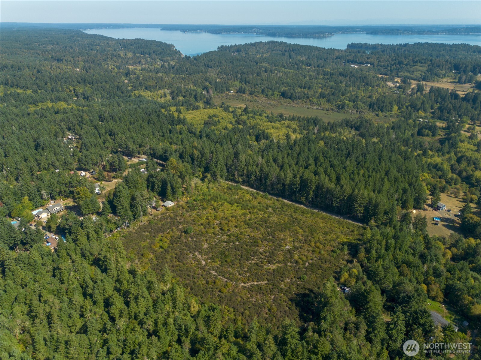 414 Webb Road Southwest Lakebay, WA 98349 - Photo 8 of 17 a view of a lush green forest with trees and some houses