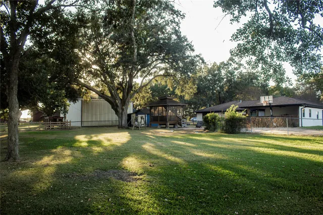 a view of a trees in a yard with fountain