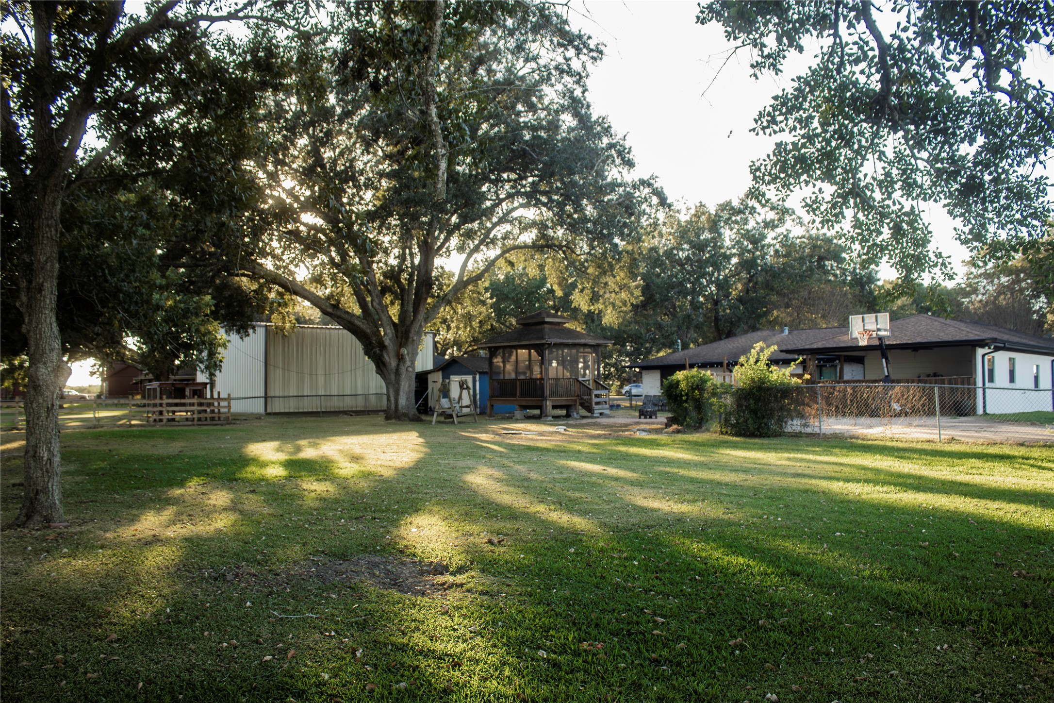 a view of a trees in a yard with fountain