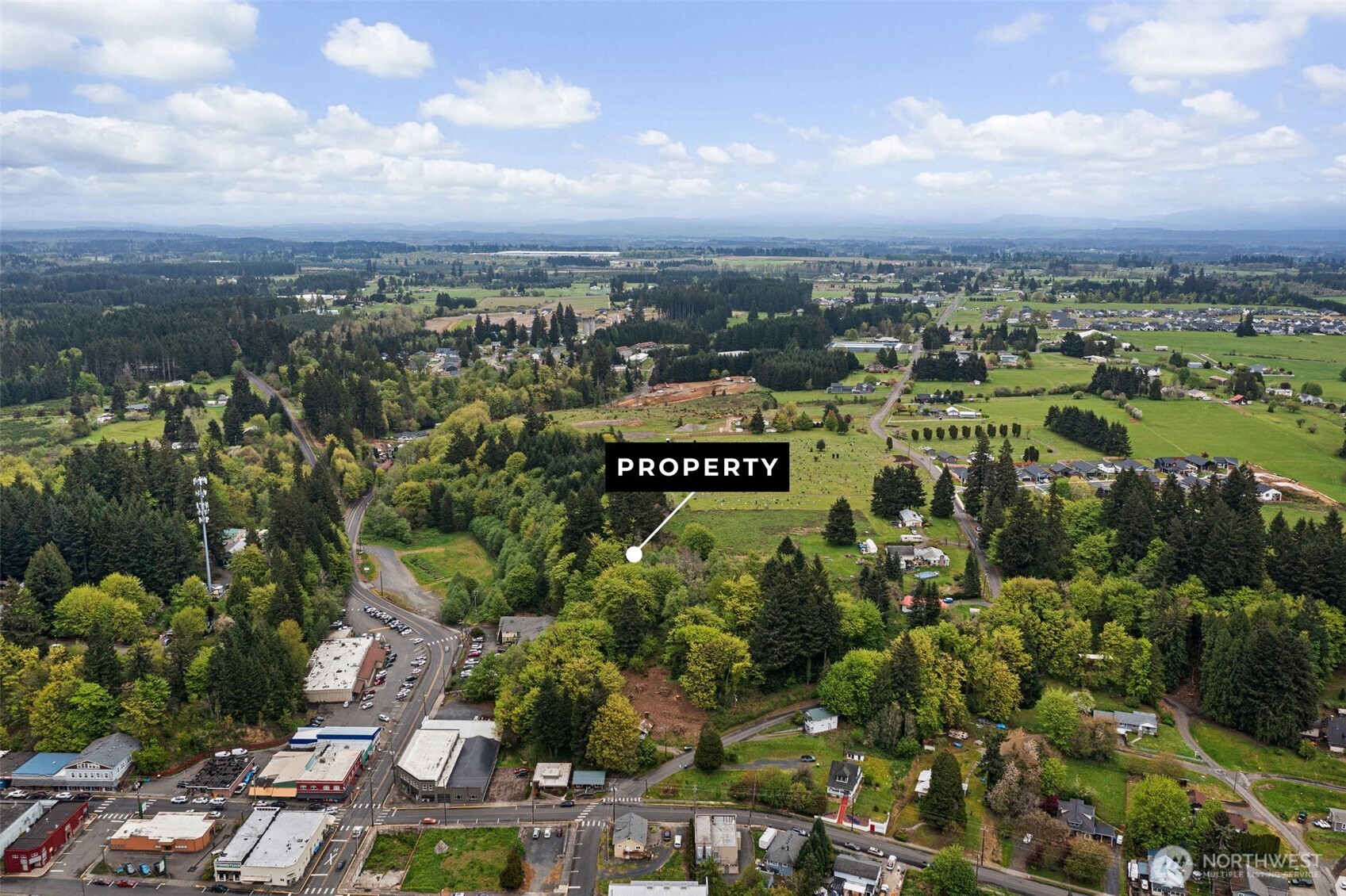 0 Southeast Cowlitz Road Winlock, WA 98596 - Photo 1 of 14