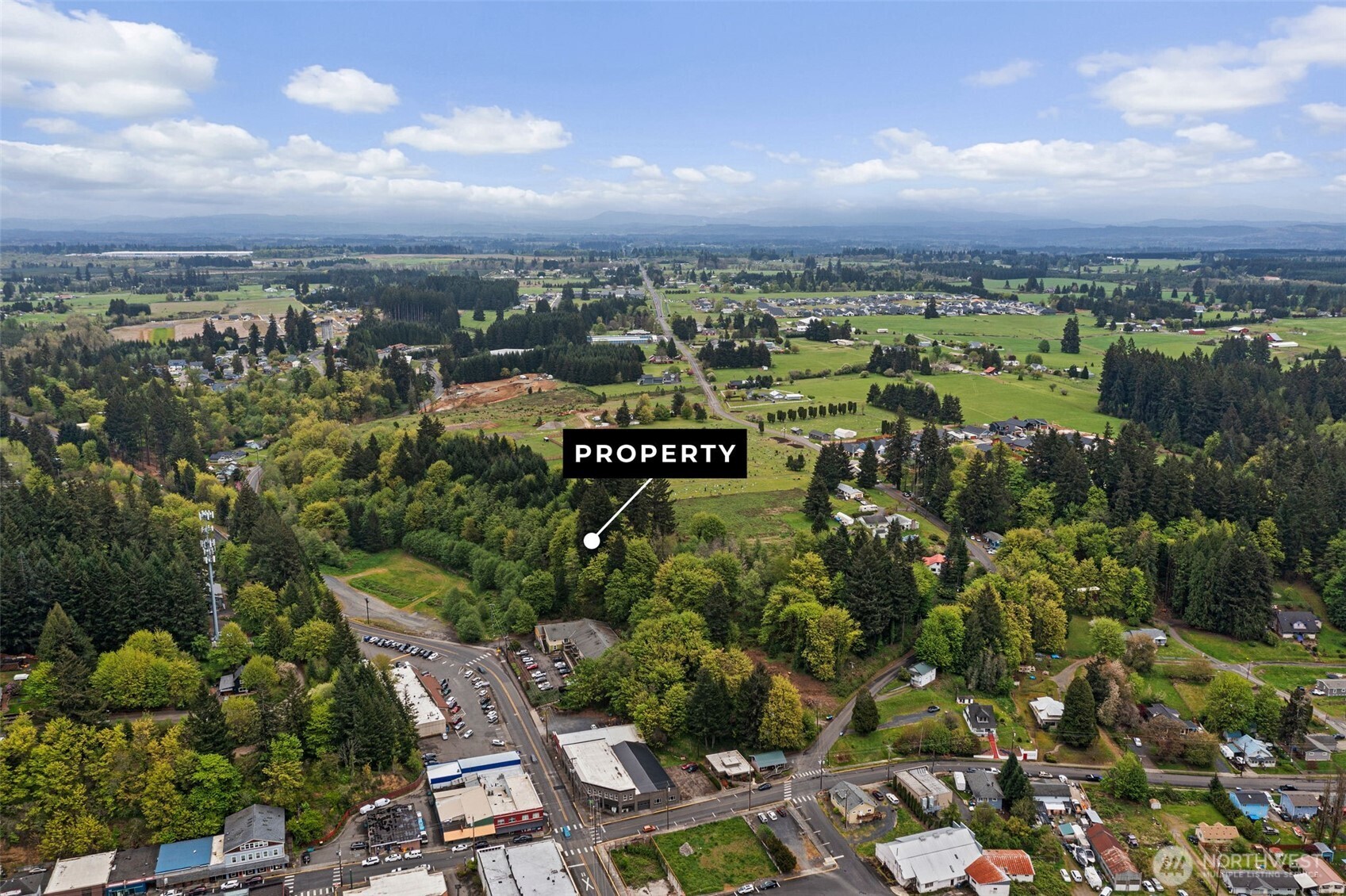 0 Southeast Cowlitz Road Winlock, WA 98596 - Photo 5 of 14