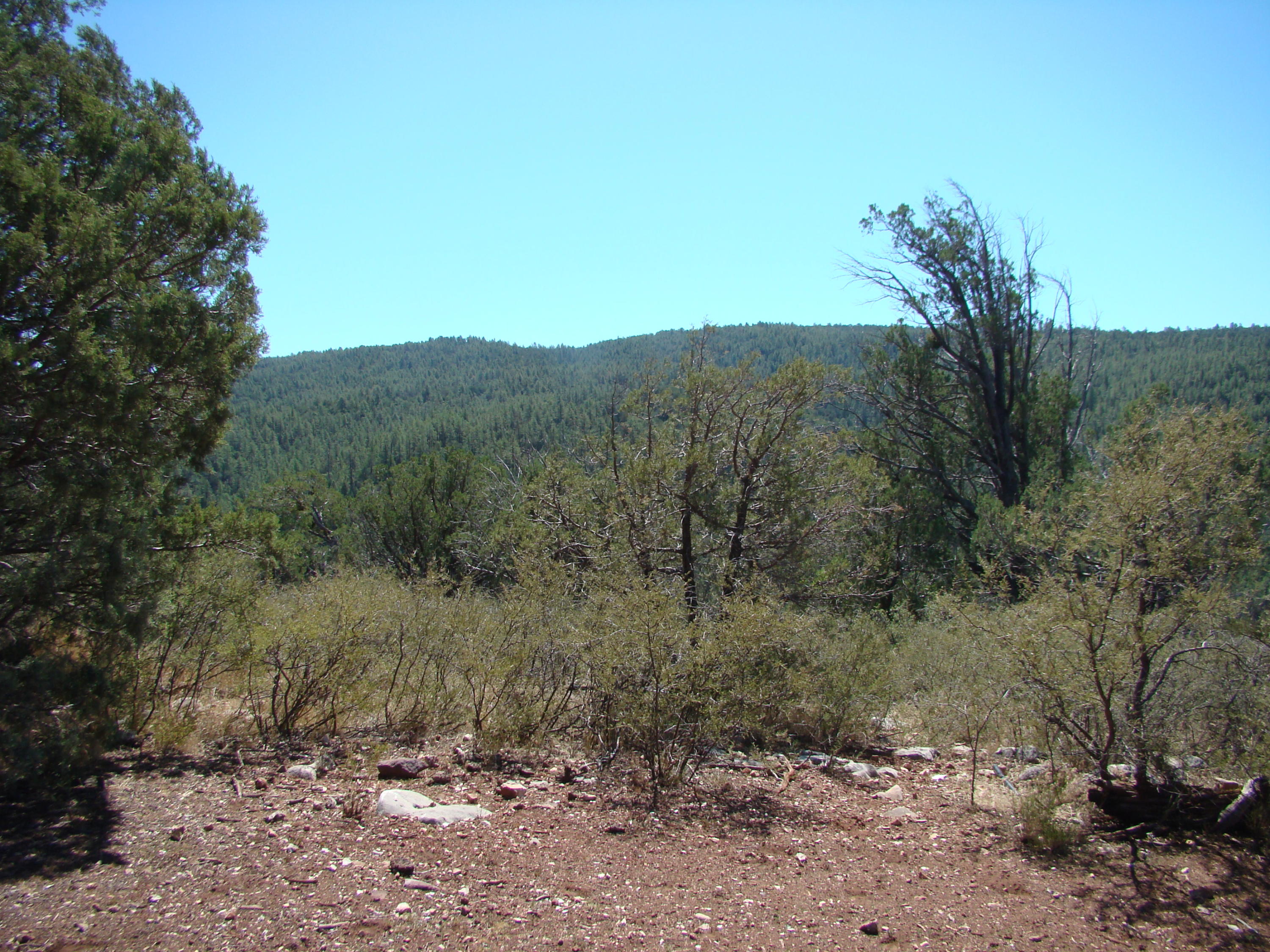 17033 Fire Control Road Payson, AZ 85541 - Photo 24 of 28