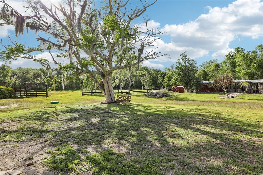 3954 McClelland Road St. Cloud, FL 34772 - Photo 64 of 70