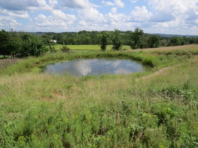 $925,000 | 353 Major Road, Cornersville, TN 37047