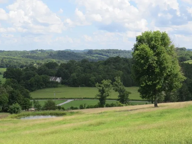 $925,000 | 353 Major Road, Cornersville, TN 37047