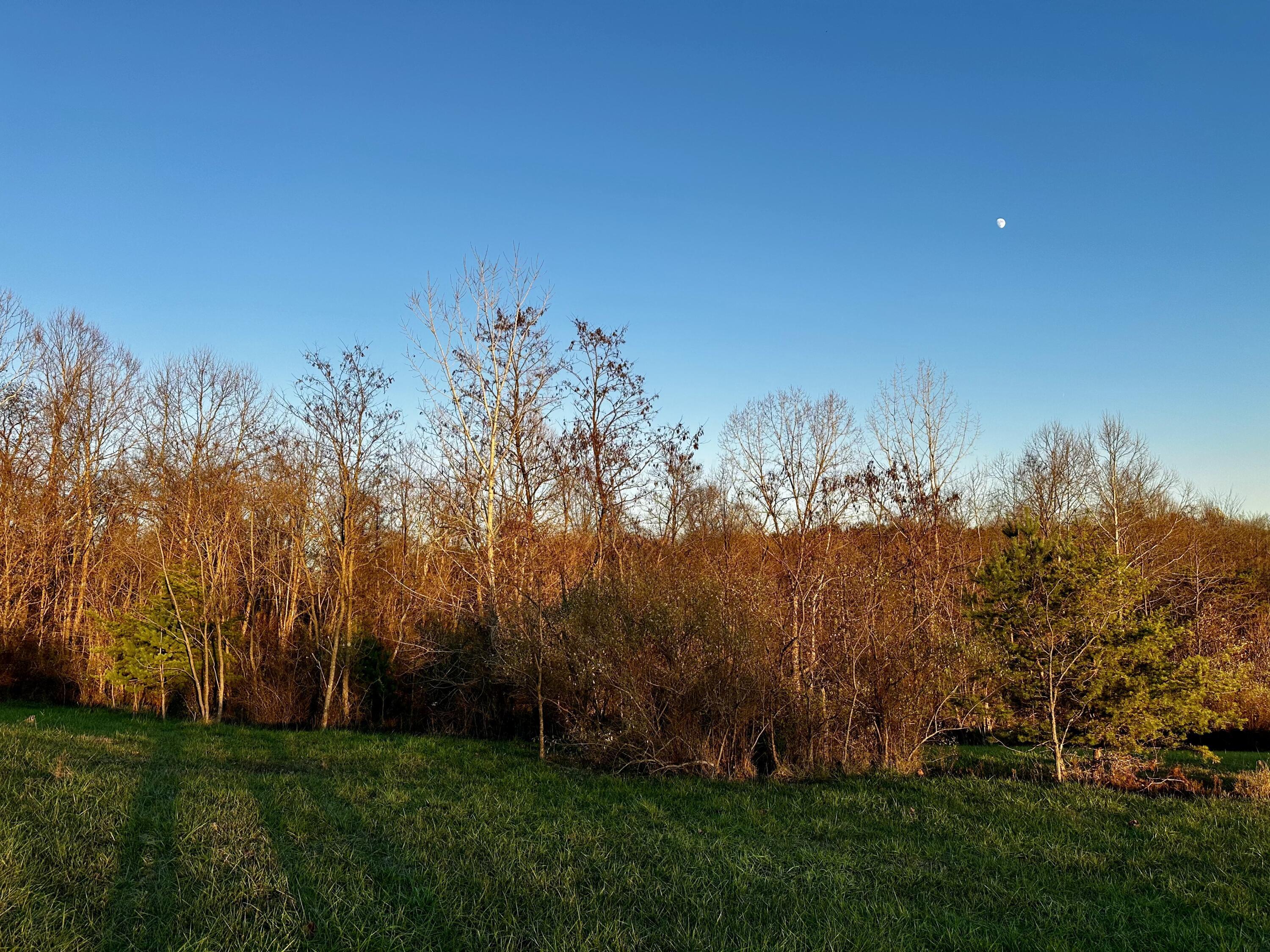 7408 Dutch Ridge Road, Unit TRACT 3 AT DUTCH RIDGE) New Straitsville, OH 43766 - Photo 5 of 29 20241111_215503056_iOS