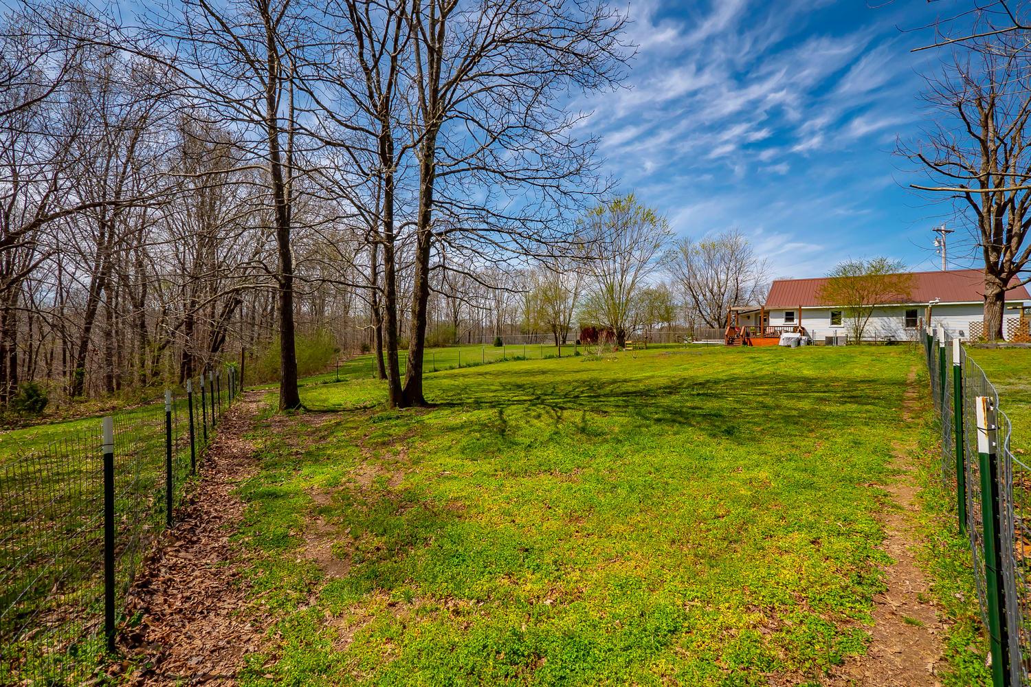 115 Caperton Road Hohenwald, TN 38462 - Photo 24 of 29 Incredible Acreage that has timber and field