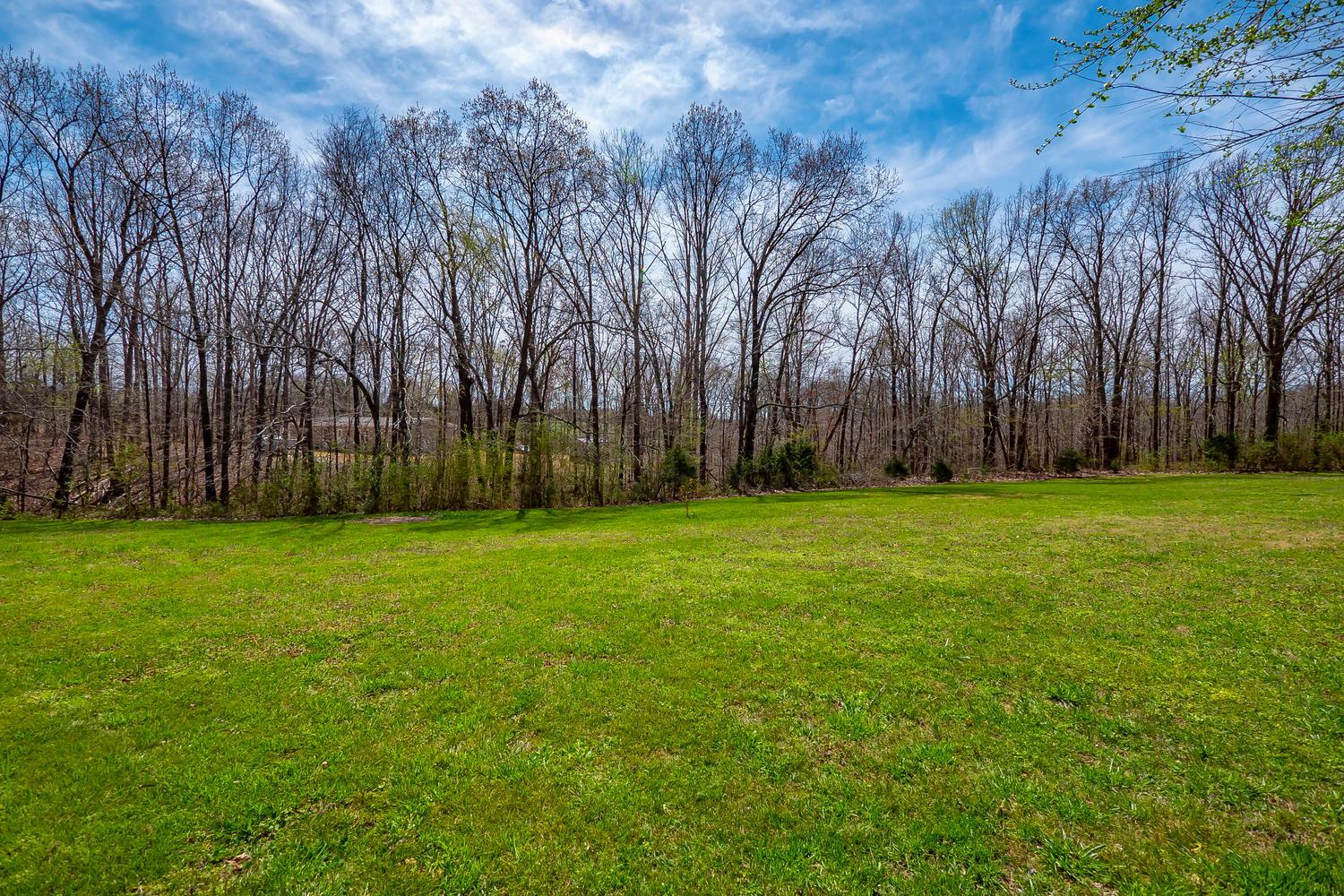 115 Caperton Road Hohenwald, TN 38462 - Photo 28 of 29 Acreage facing the Timber