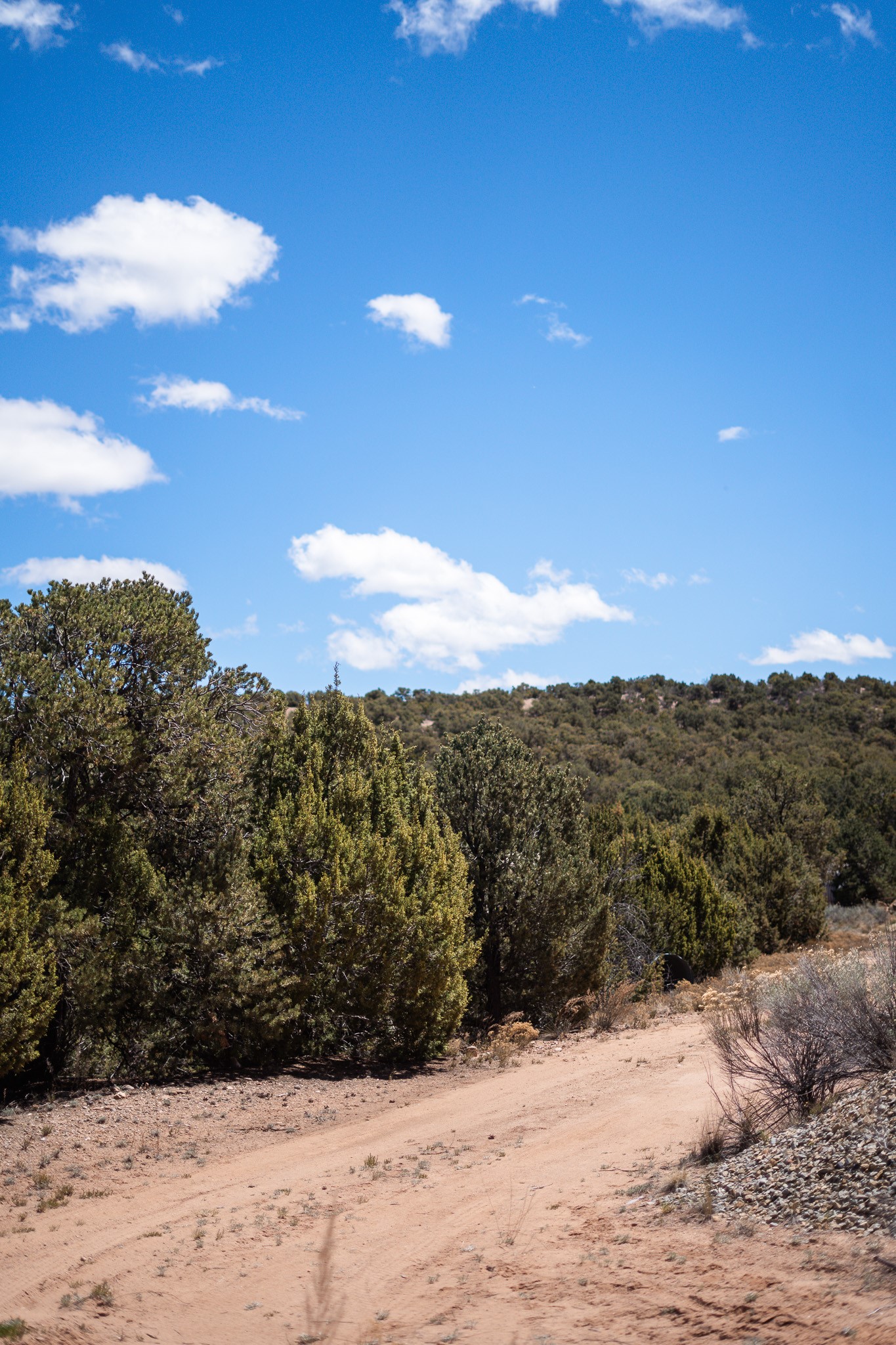 67-acres Red Ridge Santa Fe, NM 87501 - Photo 14 of 40 Middle Lot