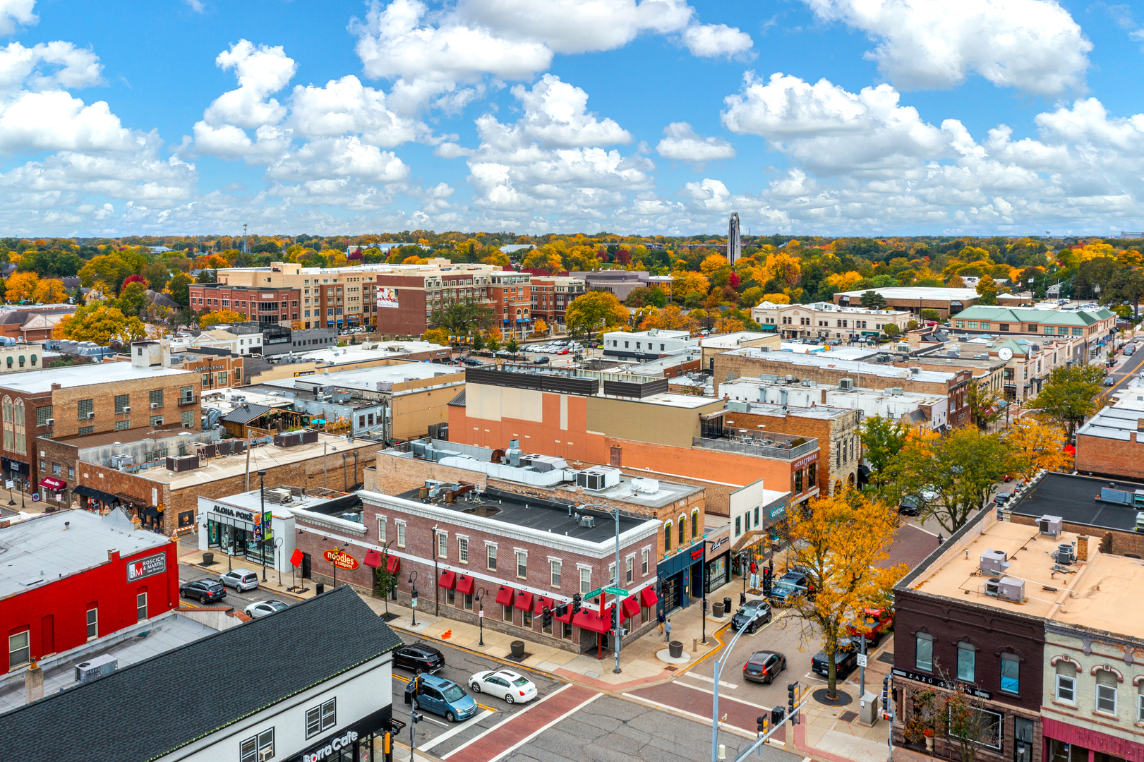 1221 Brighton Road Naperville, IL 60563 - Photo 40 of 46
