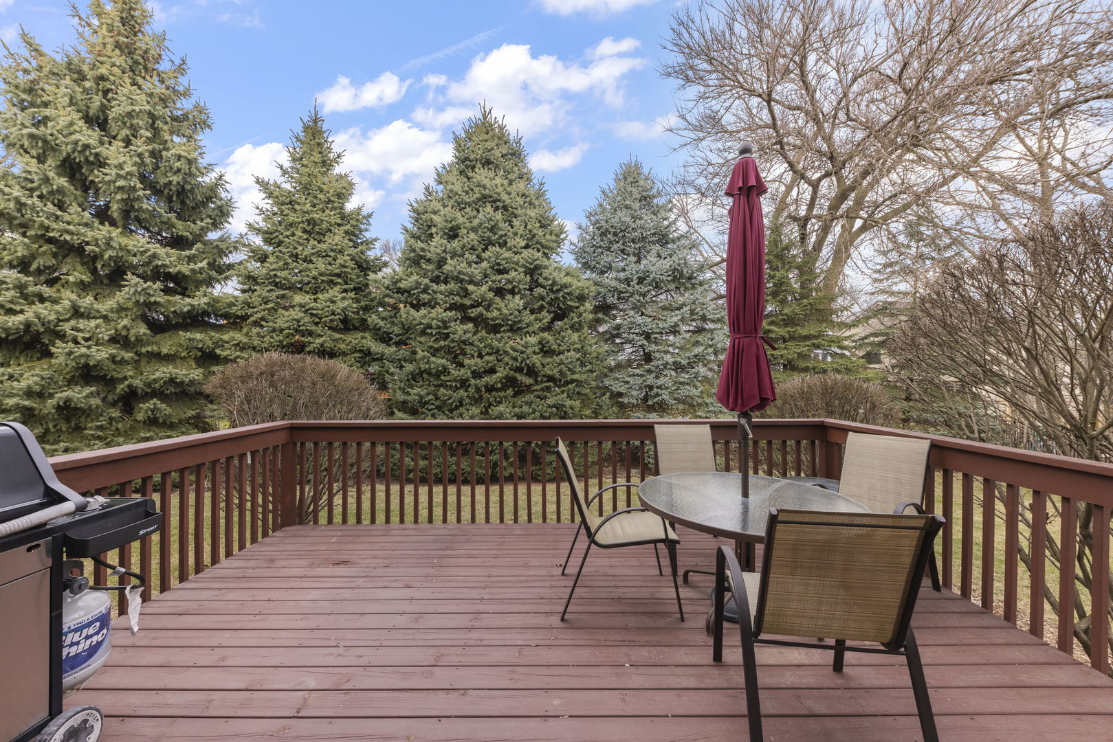 1221 Brighton Road Naperville, IL 60563 - Photo 5 of 46