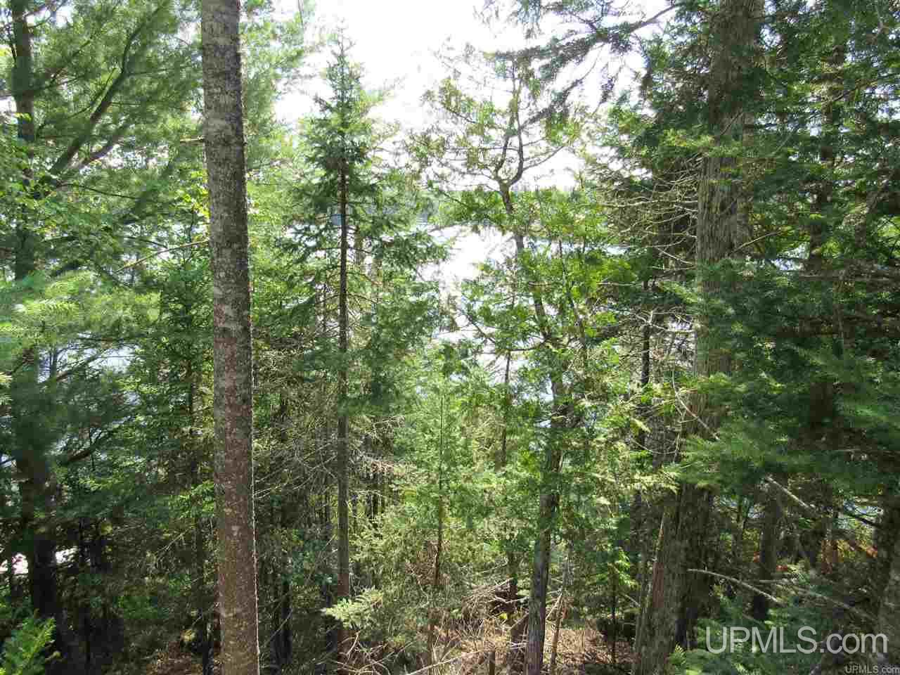 Tbd Berry Road Michigamme, MI 49861 - Photo 14 of 17