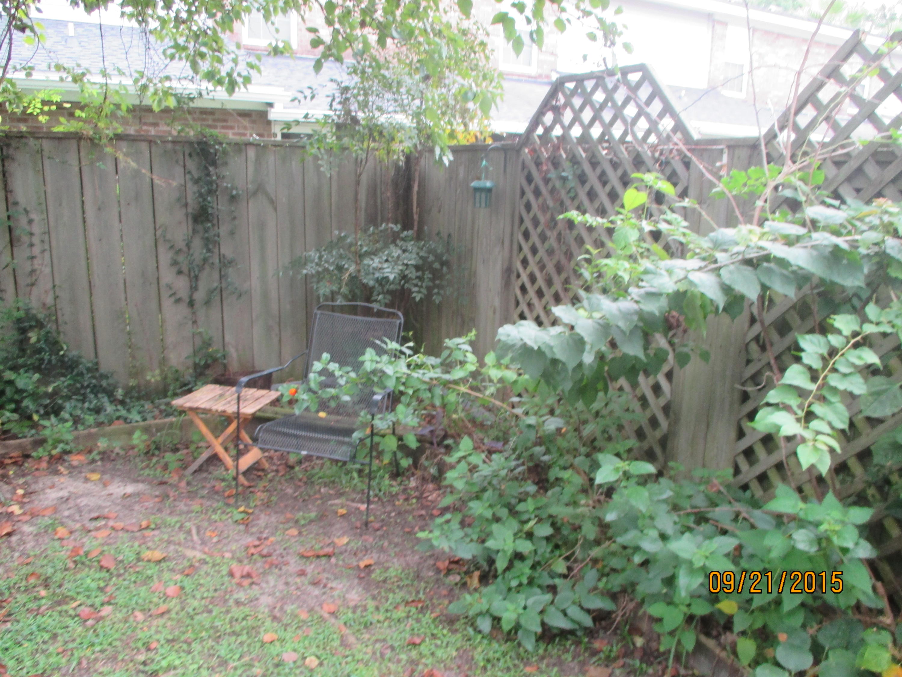 2073 Rondo Street, Unit J Charleston, SC 29414 - Photo 11 of 30 Serene Garden