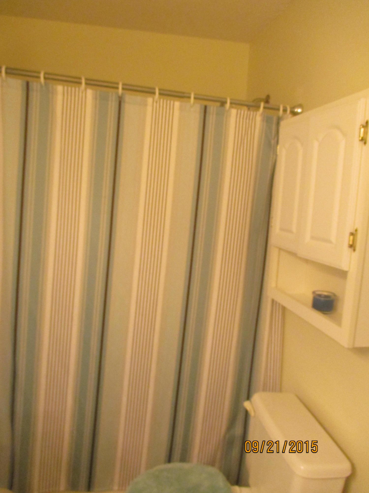 2073 Rondo Street, Unit J Charleston, SC 29414 - Photo 22 of 30 Tub with Shower