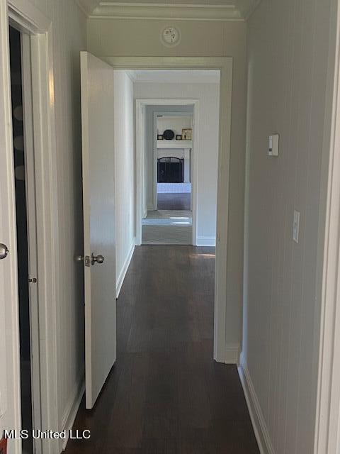154 Beamon Road Camden, MS 39045 - Photo 13 of 18 Hallway