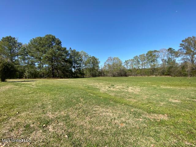154 Beamon Road Camden, MS 39045 - Photo 17 of 18 Lot