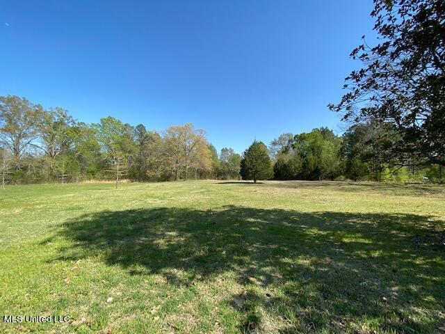 154 Beamon Road Camden, MS 39045 - Photo 18 of 18 Lot