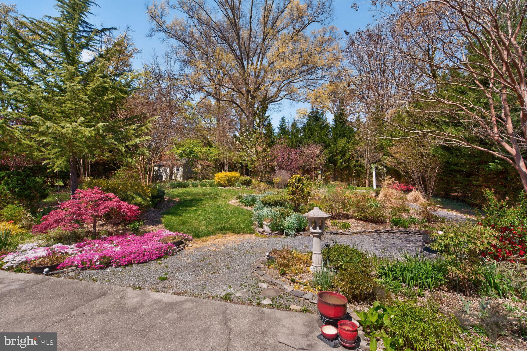 11128 Emack Road Beltsville, MD 20705 - Photo 34 of 50