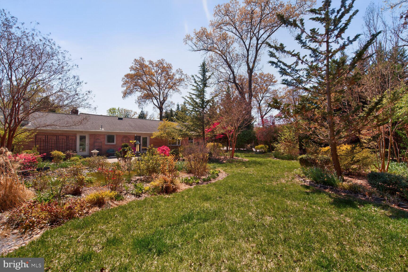 11128 Emack Road Beltsville, MD 20705 - Photo 45 of 50