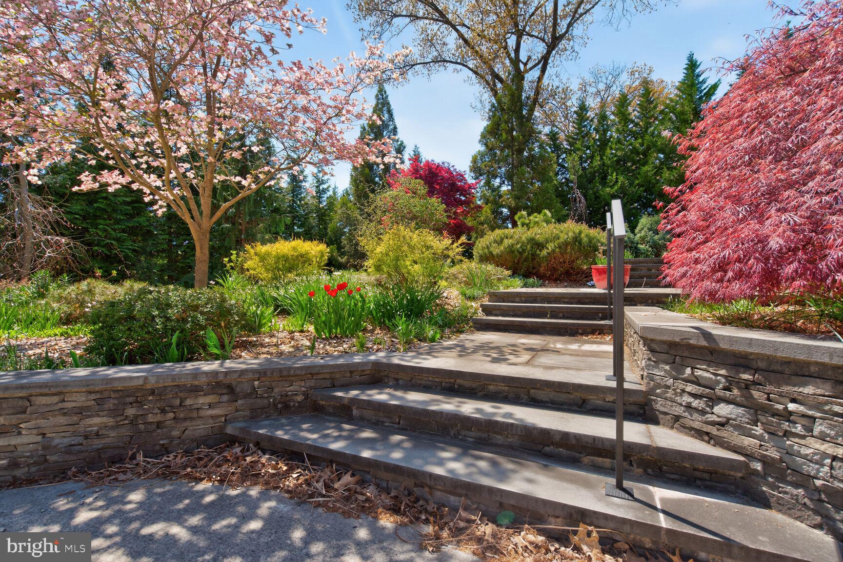 11128 Emack Road Beltsville, MD 20705 - Photo 50 of 50