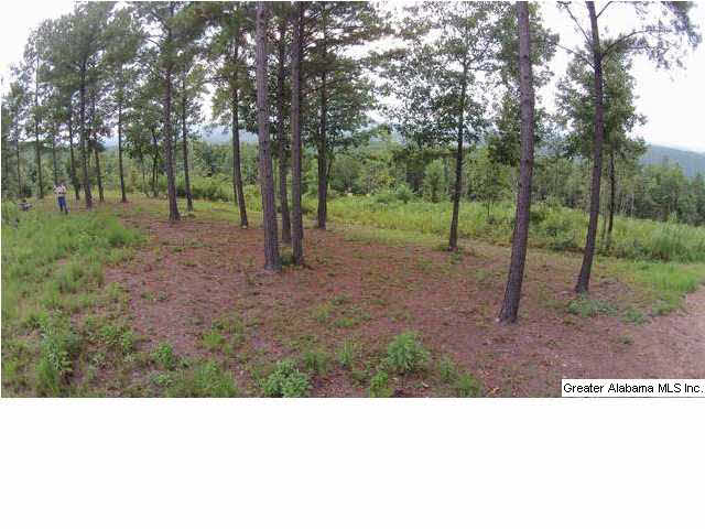1900 Pepper Road, Unit 55 AC Ashland, AL 36251 - Photo 6 of 20
